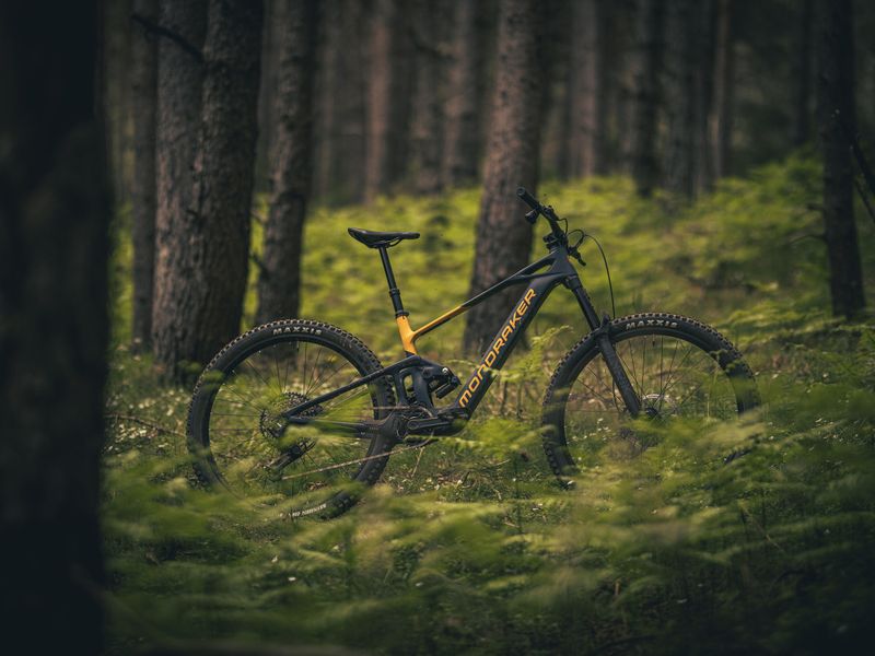 Mondraker Neat e-MTB among ferns in a forest