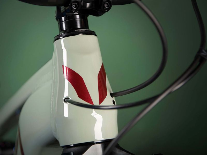 Devinci E-Spartan Eagle 90 12s e-MTB, detail 7