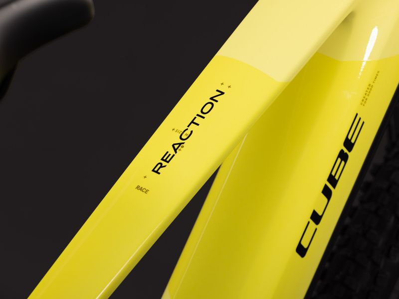 Cube Reaction Hybrid Race 800 e-MTB, detail 6